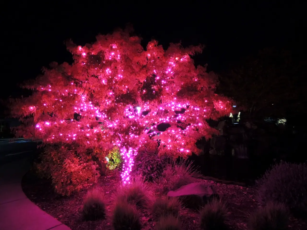 What's the Required Light Intensity for Seedlings and When is it Appropriate to Employ Grow Lights?