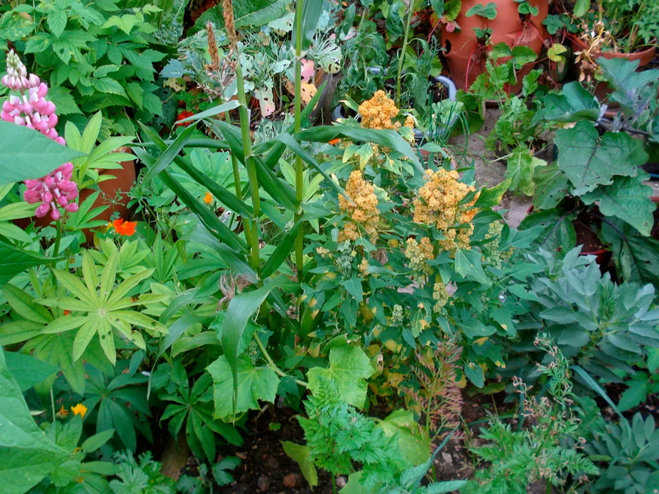 Thriving Plants under Damp Ground and Shadows: Species Suitable for Moist Soil and Low Light
