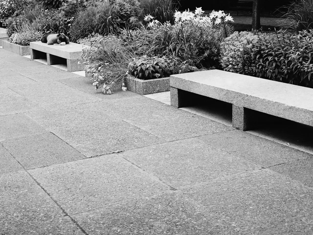 Instructions for Creating a Flower Bed from Grass: A Sequential Manual