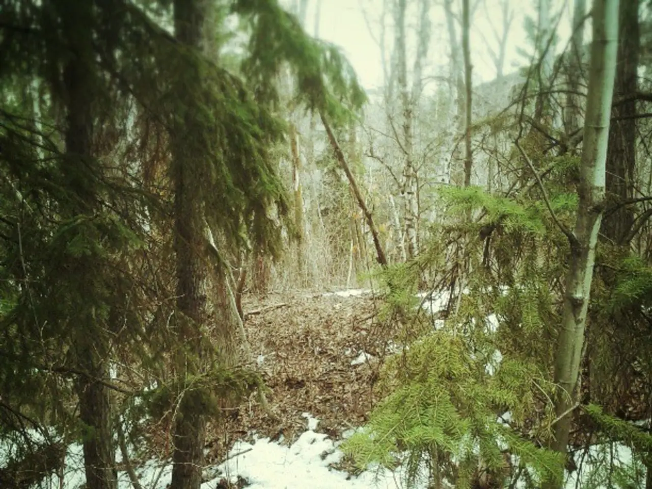 Environmental workshop held in Wojanow