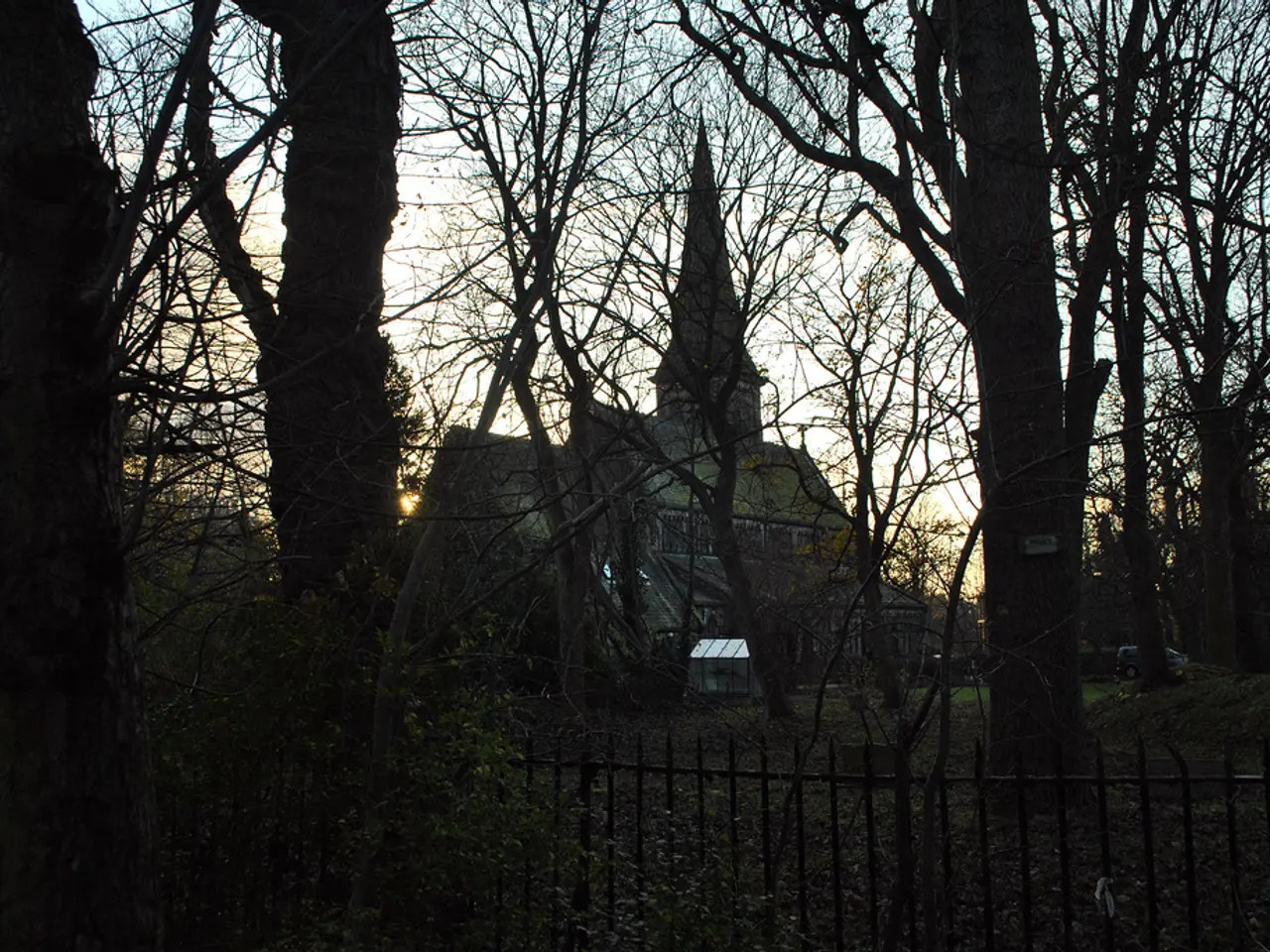 Efficient Greenhouse Ventilation: 5 Strategies for Maintaining Plant Health During Summer's Peak