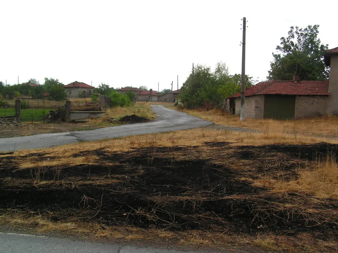 Workshop for growing forests in jars scheduled at the Senior Citizens' Club, Orzesze-Zgon, on July...