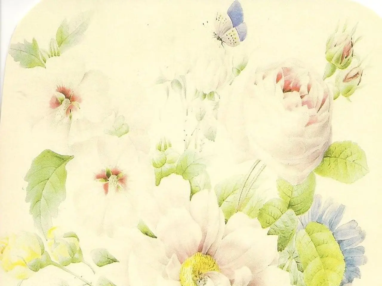 Art display in Demmin features arrangements and blooms in a still life setting