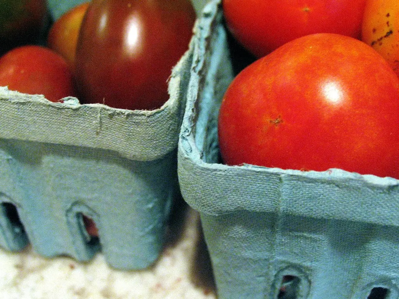 Gardener's Guide to Various Peony Types