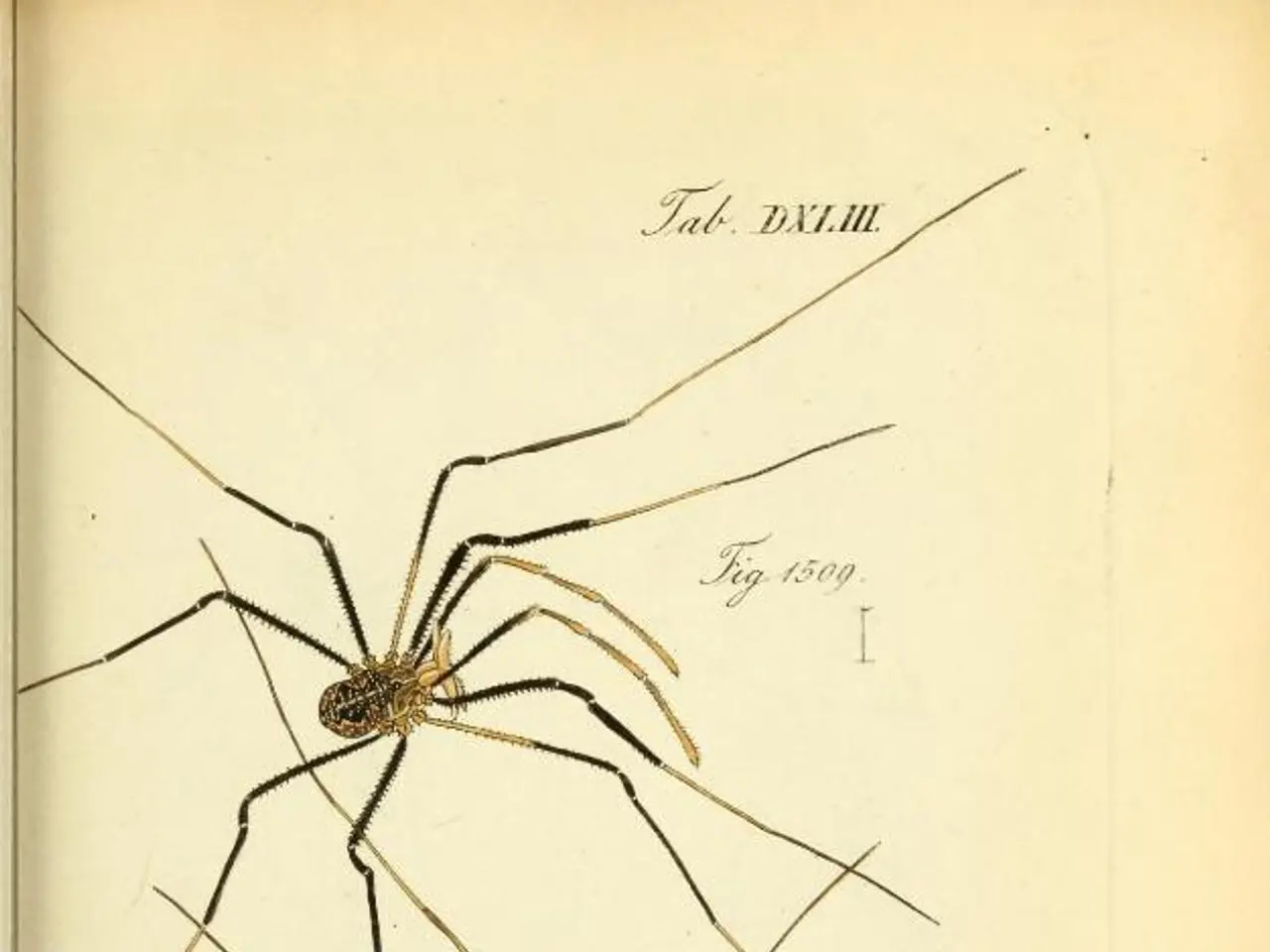 "Decorate your world with hued critters from the Pikmin game franchise, using printable coloring...