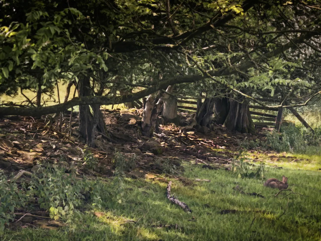 Minimizing Carbon Emissions in Landscaping: Handy Tips and Techniques