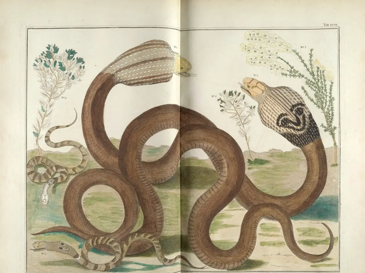 Youth residing in the belts of Bochum