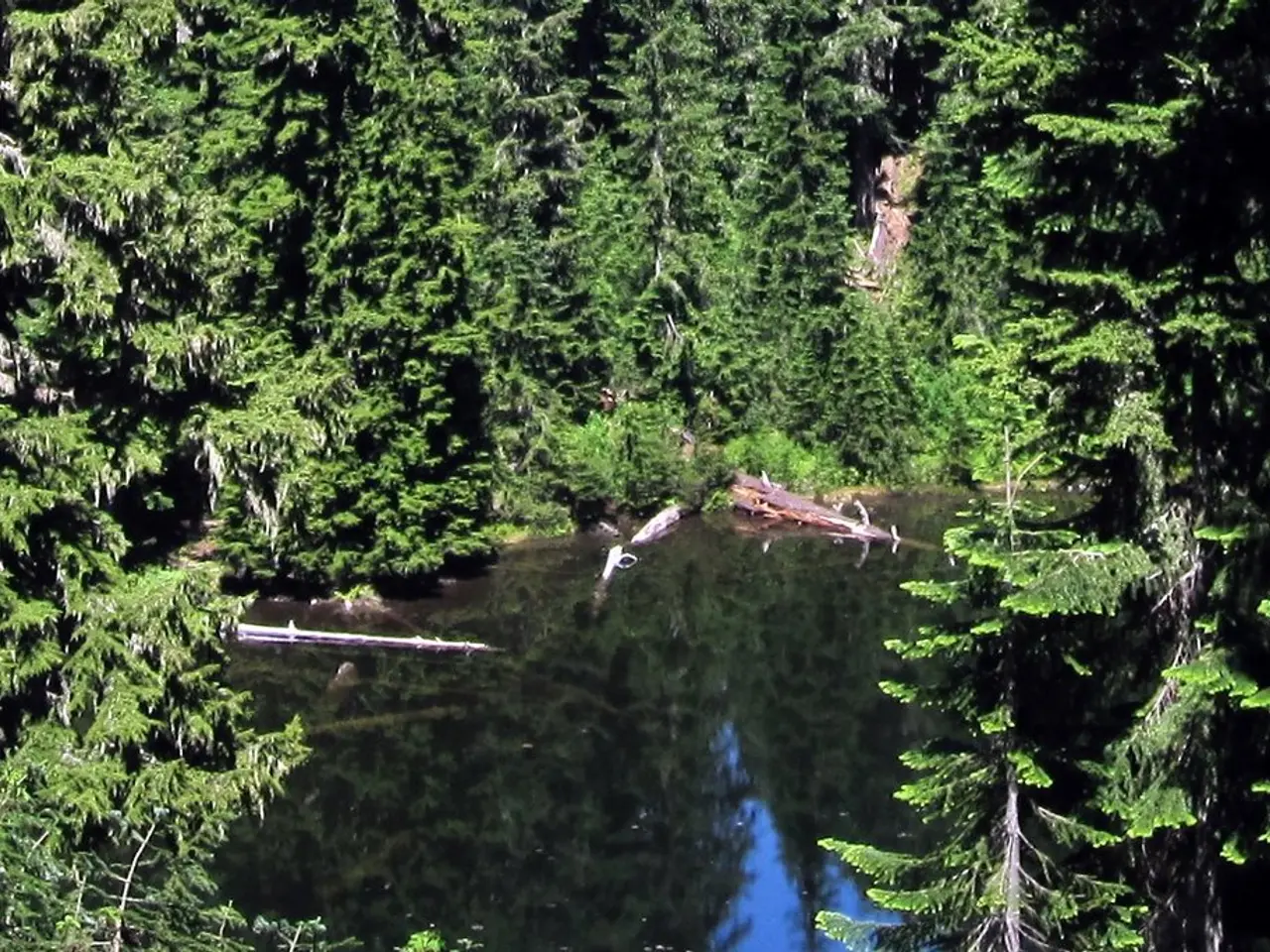 Enhancing Wetland Permaculture: A Guide to Organic Landscape Architecture