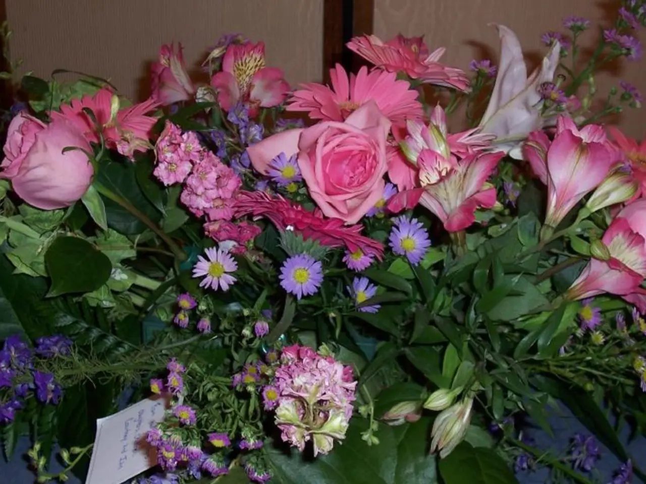 Top-Picked Ornamental Plants for Your Front Entrance