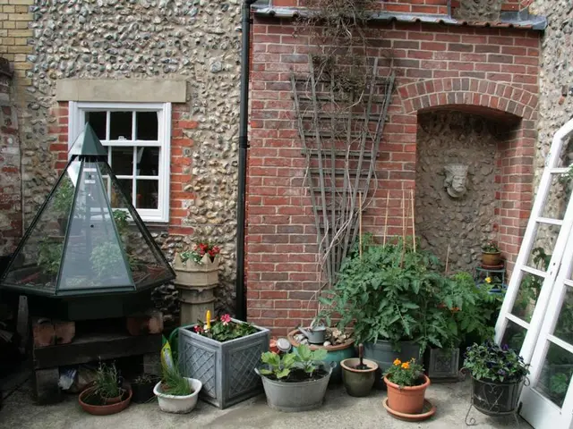 Guidelines for Successfully Cultivating Basil in Pots and Containers