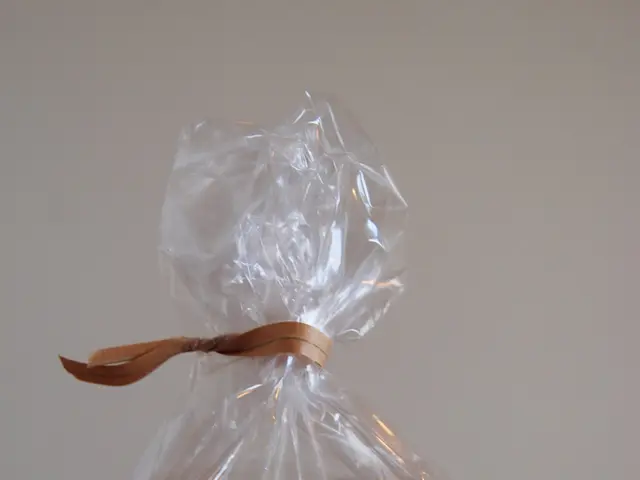 Metabolic Illnesses and Microplastics: Essential Information for Your Awareness