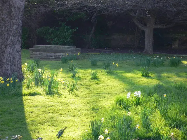 Embracing Disorder and Delight: A Guide to Success in Chaotic Horticulture