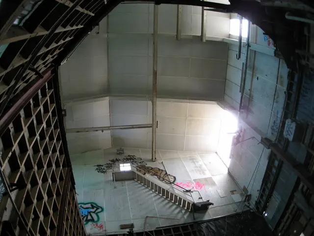 Anemia Due to Iron Deficiency: Causes, Indications, and Management Strategies