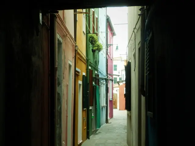 Methods for Adding Greenery to a Patio for a Vibrant, Energized Area: Four Key Factors to Bear in...