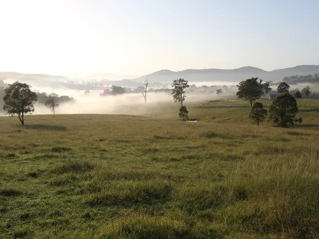 Installing Artificial Grass for a Lush, Green Yard