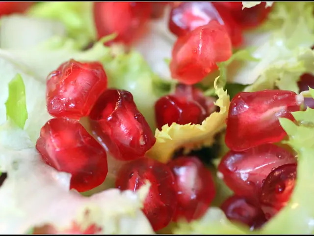 Discover Melograni Martino for Kids: A Delightful Tour of the Pomegranate Orchard