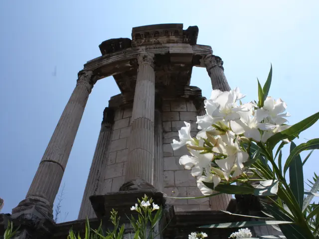 Experiment with remarkable Blue Ornamental Onions for an otherworldly display? Discover the...