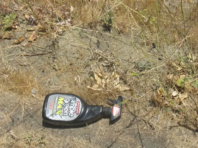 Ideal Soil Composition for Thriving Venus Flytraps