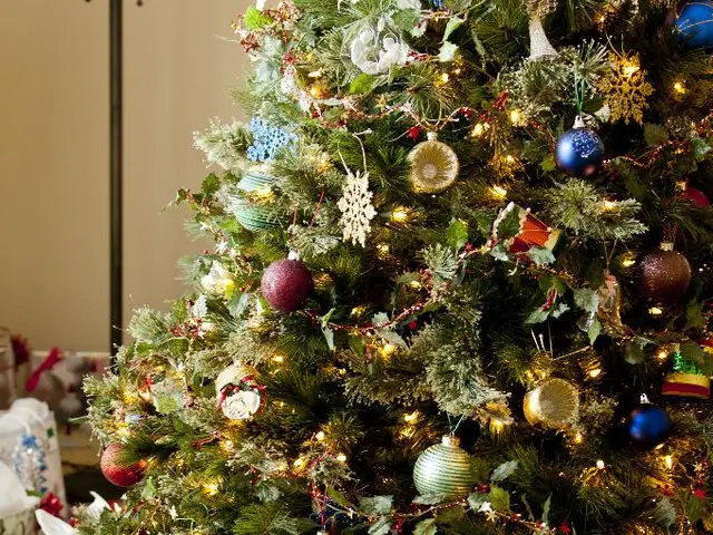 Inspiring Plant Enthusiasts with Top 10 Houseplant Gift Ideas for Blooming Gifts