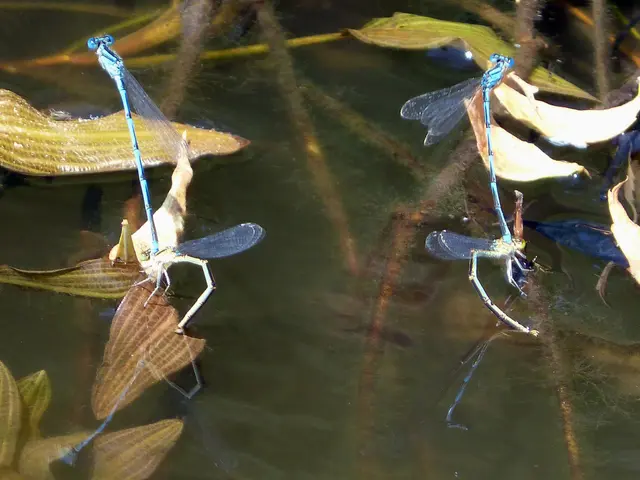 Guide to Creating a Self-Sustaining Aquatic Habitat in Your Backyard