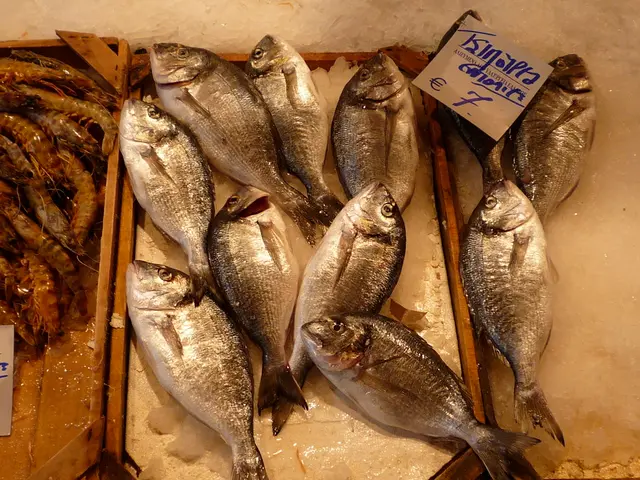 Guide for Eradicating Aiptasia in Aquarium Tanks: The Essential Equipment Revealed!