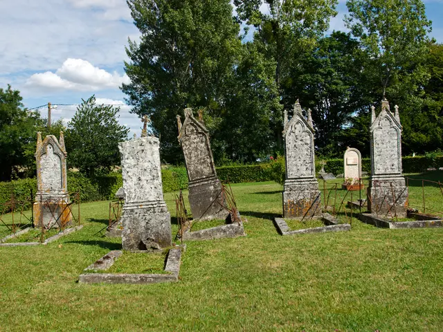 Gardening may enhance cognitive abilities, according to an expert physician, as it boosts...