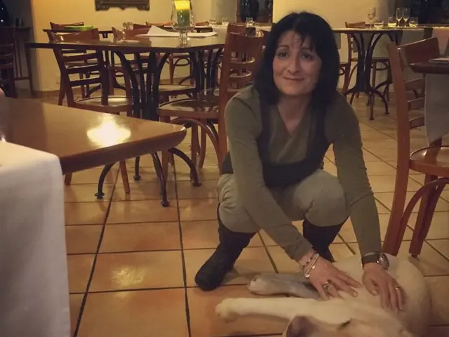 Person confines canine in storage locker for purpose of visiting Neuschwanstein Castle