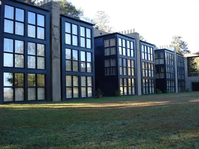 Strategies and Inspiration for Construction of a Treehouse