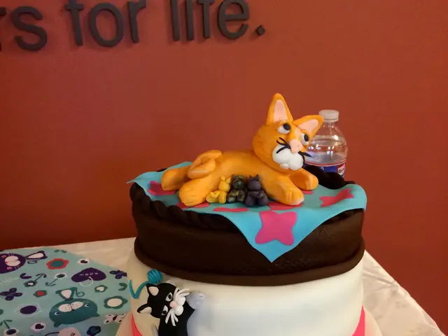 Last opportunity to purchase top-rated Cyber Monday cat tree discounts - here are my top 5...