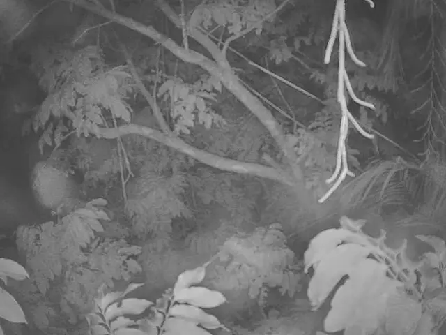 Item with a width surpassing 30 centimeters