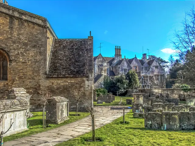 Comprehensive Handbook on Cultivating a Traditional and Pesticide-Free Veggie Patch