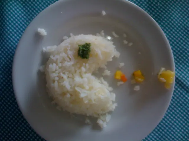 Instructions for Coloring Rice
