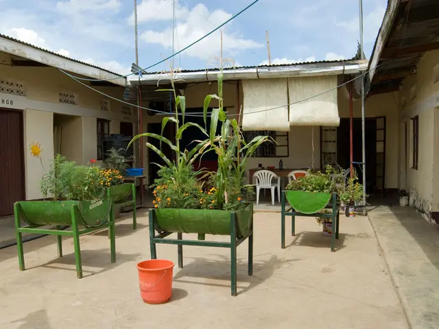 The Advantages of Spending Time Outdoors Explained