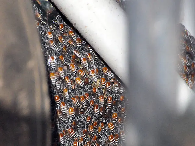 Accessing Our Website Free of Charge, No Membership Required