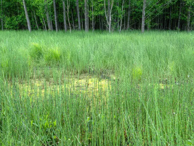 Farmers' markets serve as ideal social hubs forforging connections with others.