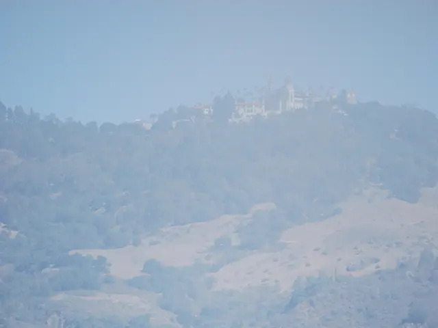 Individuals sought to enact townspeople parts during the Tournament of Knights event