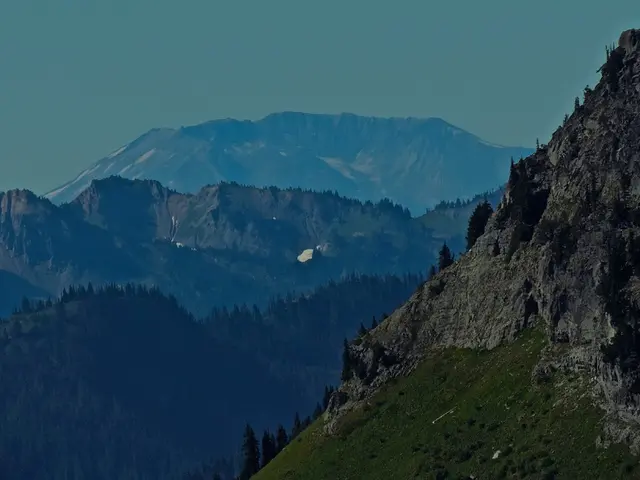 Annual Round-up of Key Events and Developments