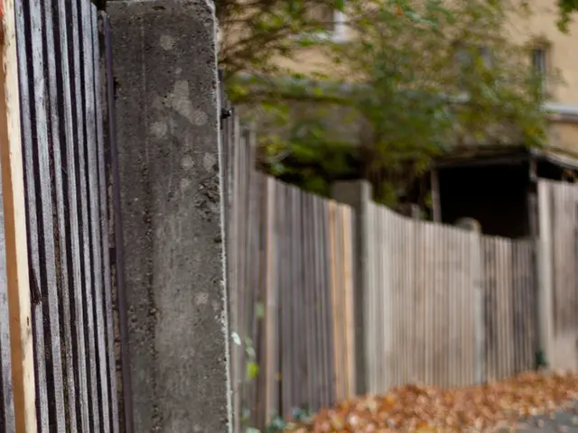July gardening task: Maintaining topiaries or overgrown hedges? This $32 cordless mini trimmer, a...