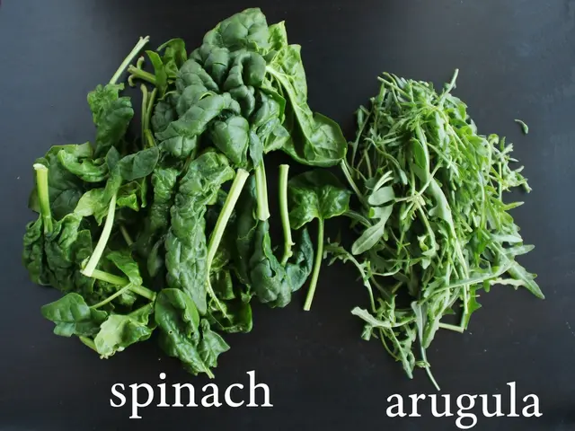 Cultivate these 5 Vegetables in your Indoor Garden during the Wet Season