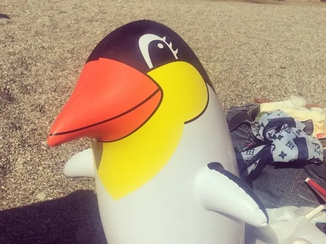 Lidl is advertising a discounted hot tub for personal garden use, available at an affordable rate.