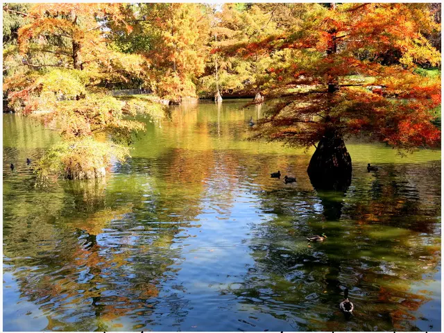 Autumn Comes to a Close at Lackford Lakes