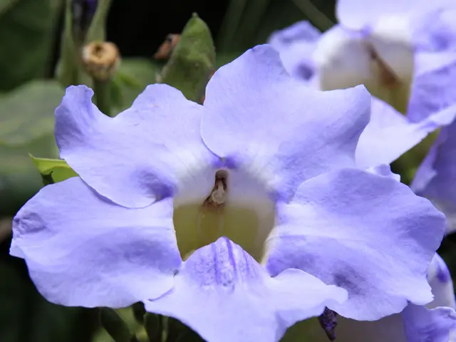 Gardening Tasks for Fruits and Vegetables in April