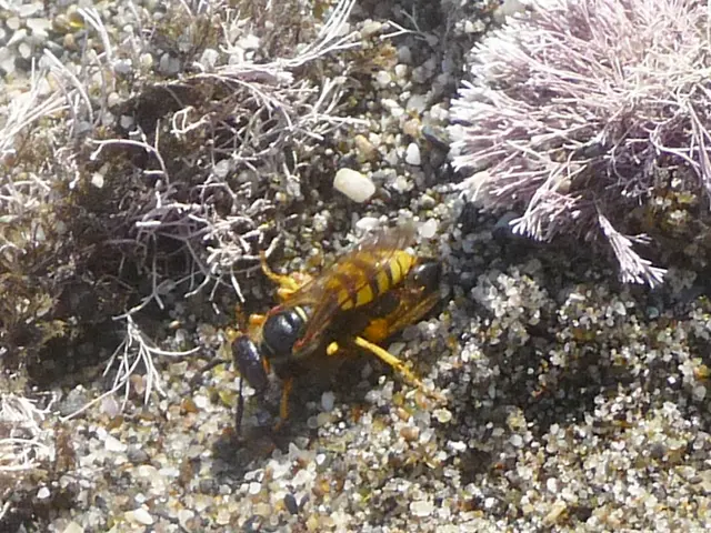 Electric Bug Zapper on TikTok Trend, a Summer Must-Have (with Discount)