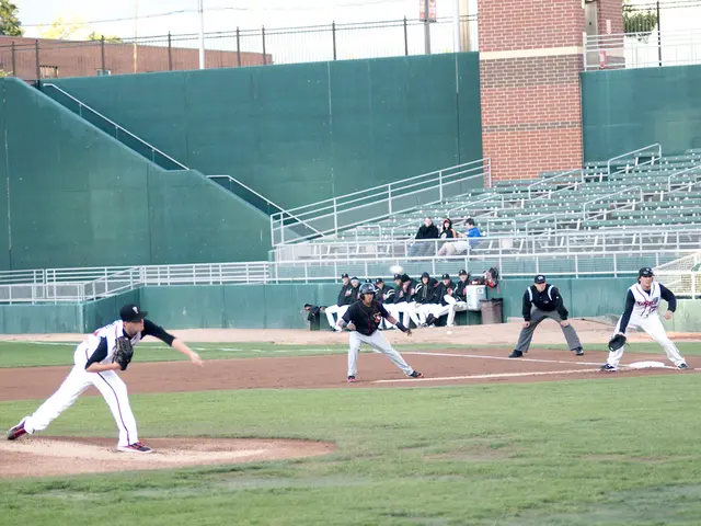 The Functioning of Ladder Ball