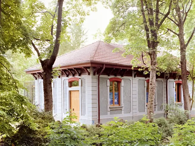 "Order Live Plants from Amazon and Decorate Your Home for the Festive Celebrations"