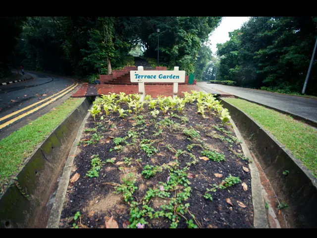 Instructions for Content Creators