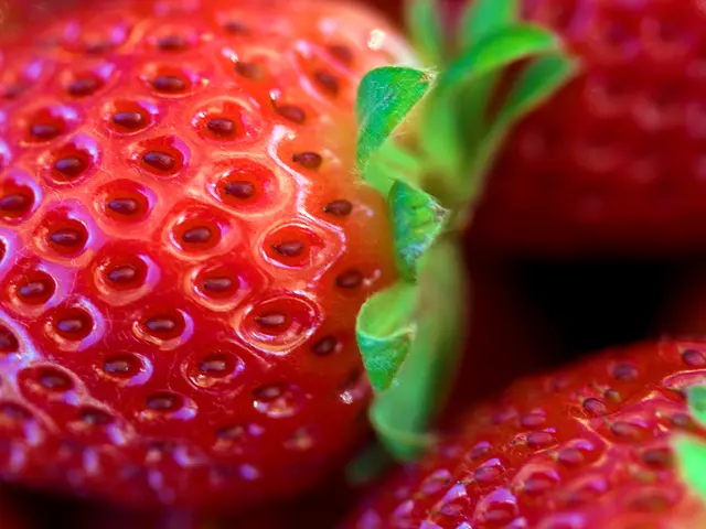 Gardeners, take note! Here are the seven definitive signs to tell when a strawberry is ready for...