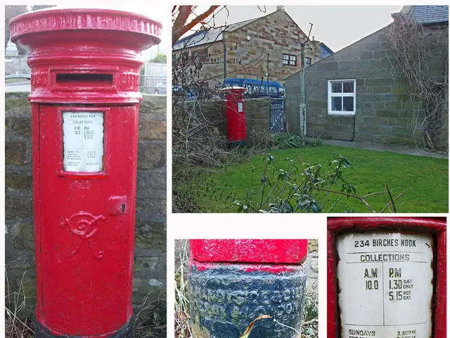 Cultivating Mountain Hydrangeas: An Overlooked Shrub Featuring Enchanting, Curious Blossoms