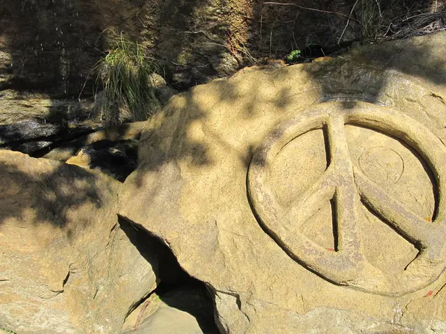 Create a Marimo Moss Ball Terrarium: Fun and Simple Instructions