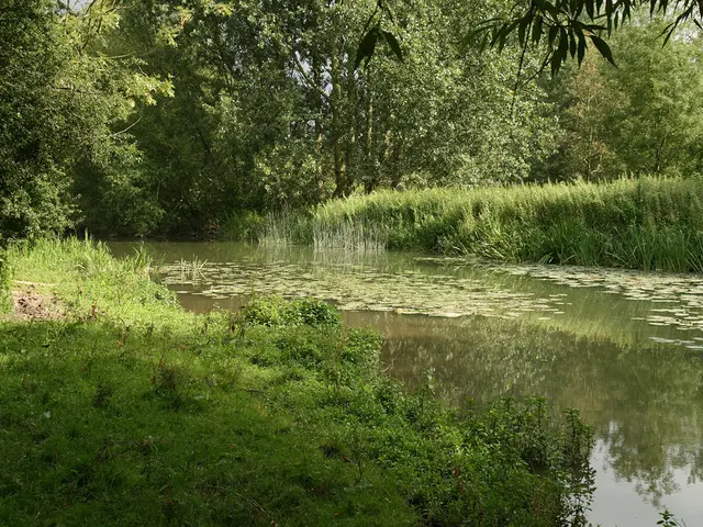 Explore the Wild for a Month at Lackford!